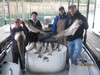 (10/12/2014) - Nice Striped Bass